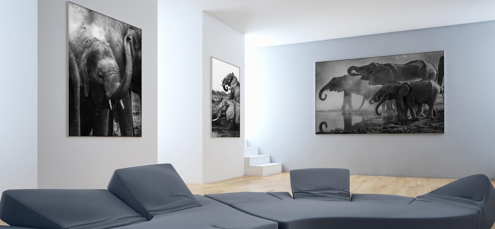 Wall-mounted SEG lightboxes in a lounge interior